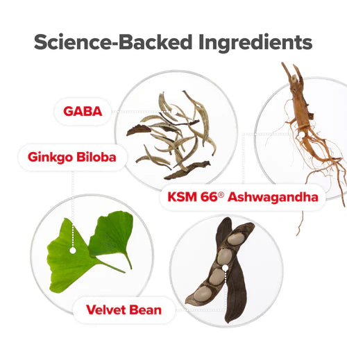 Vaginal Moisture & Mood Capsules