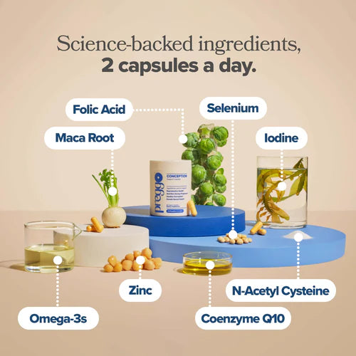 TTC + CoQ10 Support Capsules