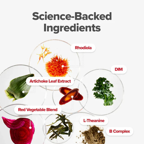 Women’s Endocrine Superfood Powder